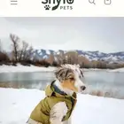 خدمة إنشاء متجر Shopify كامل خلال 3 الى 5 أيام.