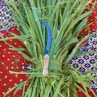 اعلاف علف وشتلات بونيكام