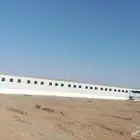 مقاول حظاير الدواجن سعر مناسب