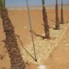 حجرعلا اطبيعه مشا الله اتوصل