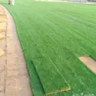 مزرعة ثيل طبيعي نجيله بأسعار الجمله