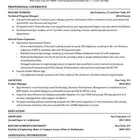 تصميم cv احترافي