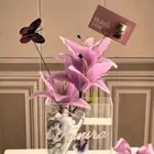 احواض سمك الفايتر
