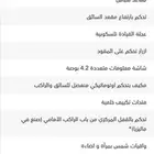 راف فور هايبرد ستاندر ممشي قليل RAF4