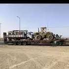 لوبد متواجد في الجنوب