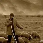 راعي غنم جديد في باكستان