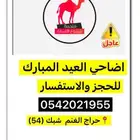 اضاحي ذبح وسلخ وتقطيع العيد تبوك