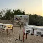 نحل خلايا حديثه للاجار دعم ريف 100