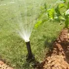 تنسيق حدائق توريد وتركيب الثيل الطبيعي وشبكه الرأي الحديث عا