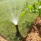 تنسيق حدائق توريد وتركيب الثيل الطبيعي وشبكه الرأي