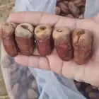 برني العيص الفاخر