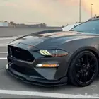 لحية موستنج 2018 - 2023