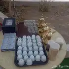 تأجير كراسي ملكي كراسي عايدي طاولات طعام مدوره طاولات مستطيي