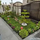 تنسيق حدائق وتيل طبيعي ولا صناعي والحوض زراعيه والنباتات