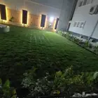 ثيل طبيعي شبكات ري زراعه الاشجار