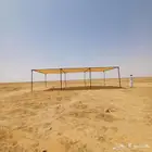 مضلات الإبل