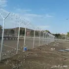 شبك