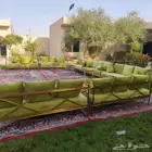 تاجر جلسات مغربي جلسات شعبي