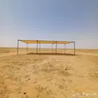 مضلات الإبل