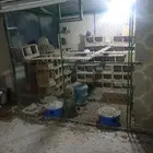 عشه حمام شبك مستعمله