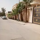 تكريب وتنظيف وشذاب نخل العربي ول واشنطونيا