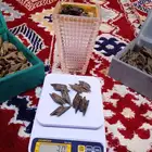 بخور تايقر بخور مروكي طبعي محسن