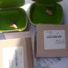 سماعات طبيع شركة فوناك