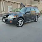 فورد اكسبيدشن 2010