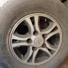 شاص