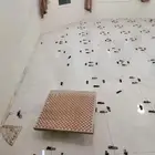مبلط وسباك الجبيل البلد والصناعيه
