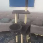 برج القطط