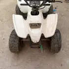 دباب