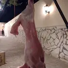 معلم مشويات مشاوي