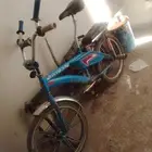 الازرق اندنوسي درجه اولى