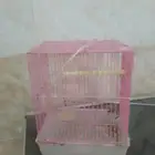 قفص حق طيور