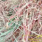 دره رشاش ناعم جديد لون أبيض واخضر من وادي الدواسر