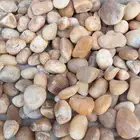 حجر احمر البيع حق تزيين الحدائق وممرات الفلل