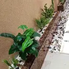 حديقة منزلك المميزه