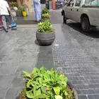 تنسيق حدائق