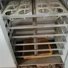 فقاسة بيض