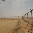 مقولات