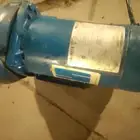 دينمو سمنان ا حصان امريكي