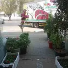 تنسيق حدائق