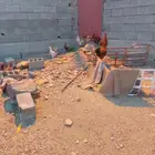 دجاج بلدي كفو يبيض ويرجنوا ومضمون