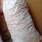 خبز يابس حق مواشي