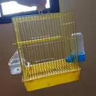 اقفاص للبيع