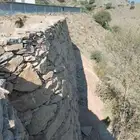 الحريضه ولا قحمه ولا برك
