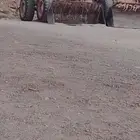 شيول لاجار