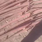 بيوت محميه للبيع