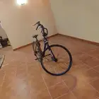 سيكل مهاري للبيع البيع ب 100 ريال يوصل 30 كيلو